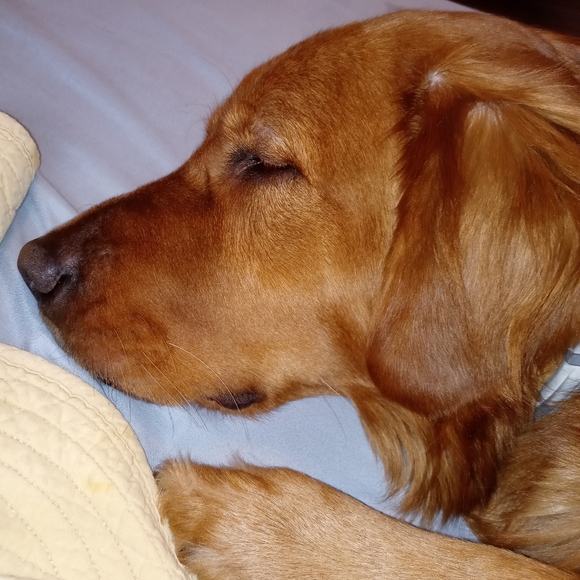 Meet your Posher, Tina - Picture 6 of 7